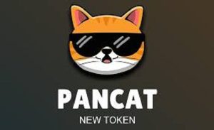 buy Pancat Tokens