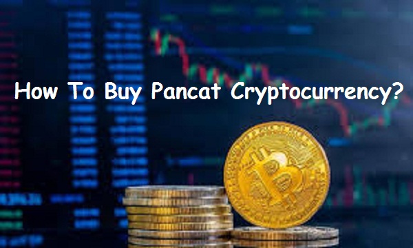 How To Buy Pancat Cryptocurrency?