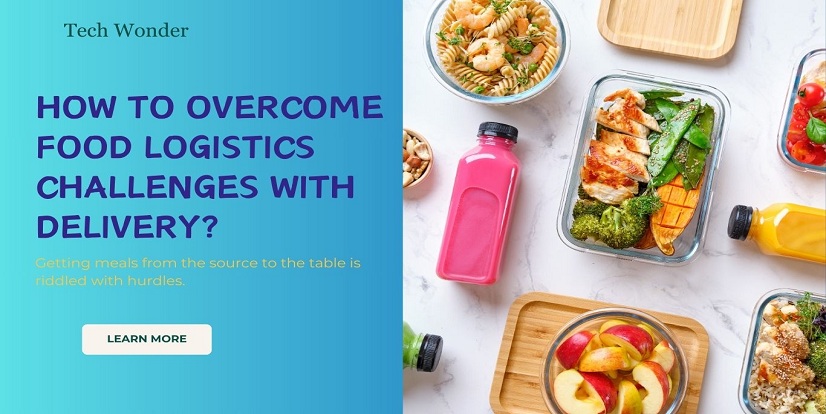  How To Overcome Food Logistics Challenges With Food Delivery